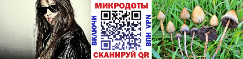 где купить Калининец Псилоцибиновые грибы мухоморы