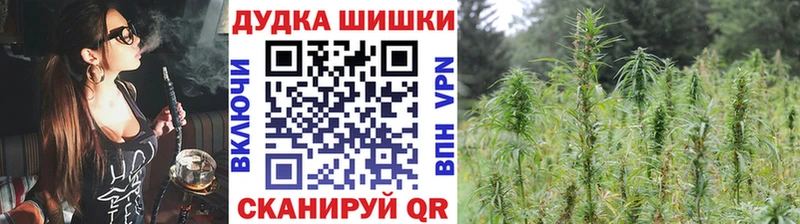 Марихуана план  Калининец 